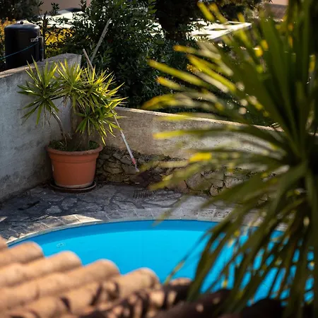 Sofia * Kožino