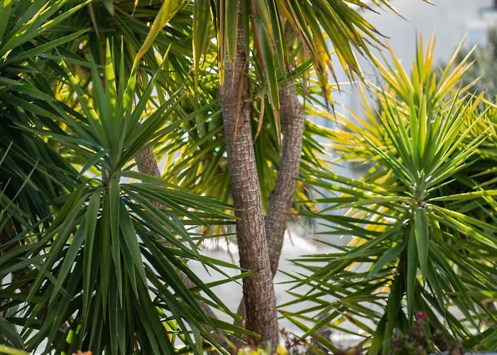 公寓 Sofia Kožino